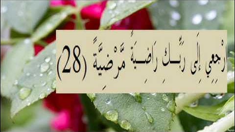 القران الكريم سورة الفجر الاية 28