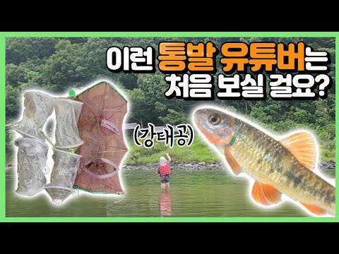 물고기 잡으러 왔다가 대박 콜렉션 터졌습니다..