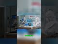 PFAS Chemicals Found in Testicular Tumors: Peer-Reviewed Research #shorts