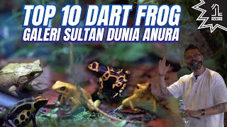 Top 10 Dart Frog (Katak Beracun) Sultan di Galeri Aesthetic @DuniaAnura