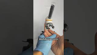ส่องกล้องจุลทรรศน์ดูฝุ่นใต้โซฟา มีอะไรซ่อนอยู่?