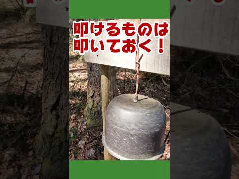 十二ヶ岳　岐阜県高山市　低山登山 #shorts  #short #trekking