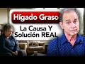 Hígado Graso: La Causa Y Solución REAL