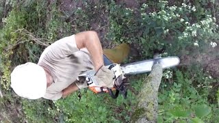 Edge Feathering For Deer - The Management Advantage