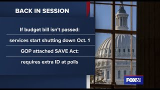 Law changes & proposals | The Real Story