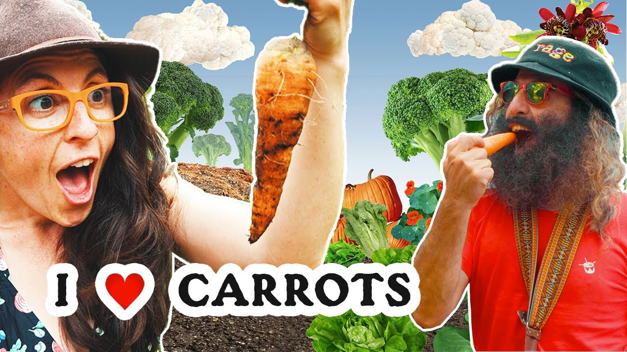 I Love Carrots | Formidable Vegetable (feat. Costa & Linsey Pollak) | Play Music With Your Food Song