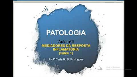 Como se chama e que tipos de substâncias induzem a resposta inflamatória?