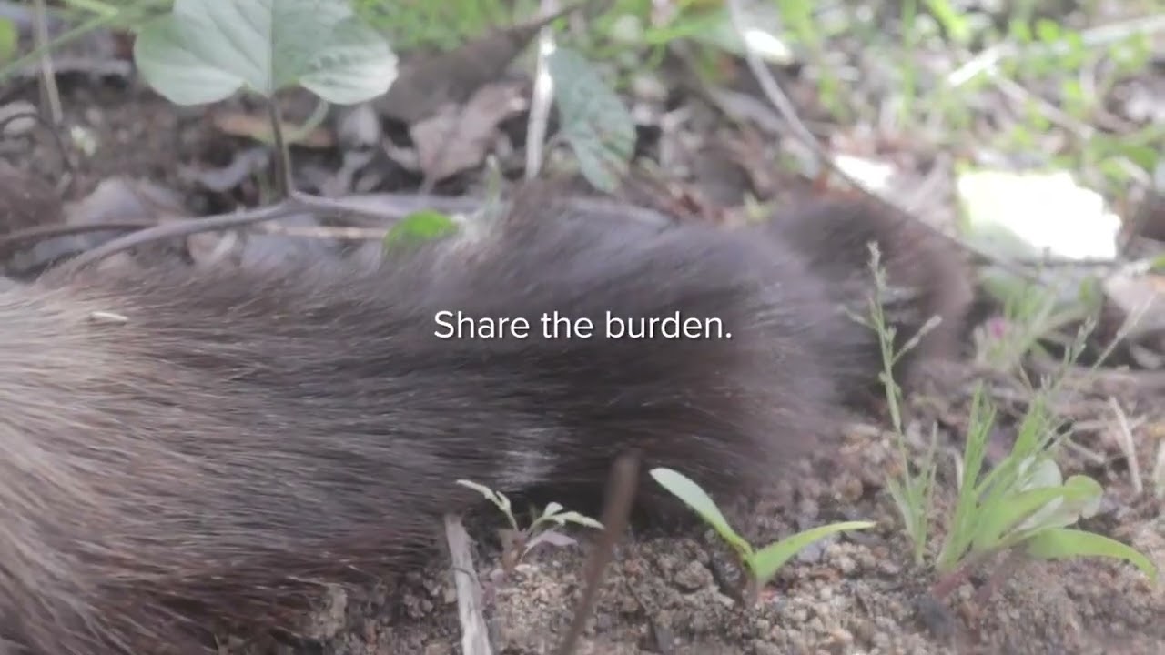 Heal Your Living - 7 Minimalist Ways to Be Less Anxious (01.04.2020)