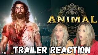 ANIMAL Official Trailer Reaction | Ranbir Kapoor \& Sandeep Vanga | NETFLIX