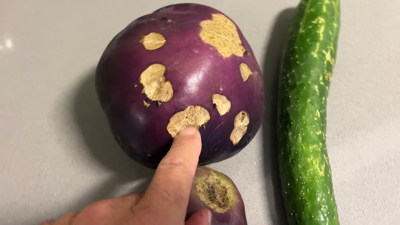 The Ugly Truth About Organic Vegetables