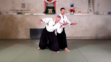 Aikido principles: Zanshin (残心 = Remaining Mind) - Aikido Virtual Dojo