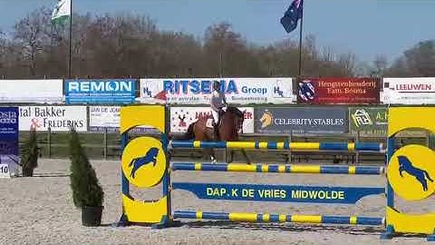 251130 Gelding by Uricas SHOW 125 class