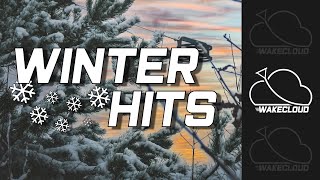 Winter Hits At Cable Force Wakepark Wakecloud