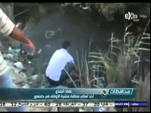 أخبار المحافظات مع ريهام ابراهيم البحيرة انقطاع مياة الشرب عن 9 مناطق بدمنهور