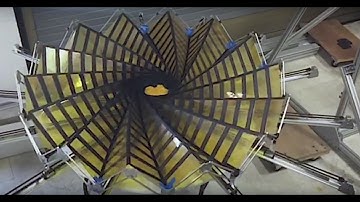 Crazy Engineering: Starshade/Coronagraph