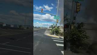 Dust Devil Ripped a Tree While Forming