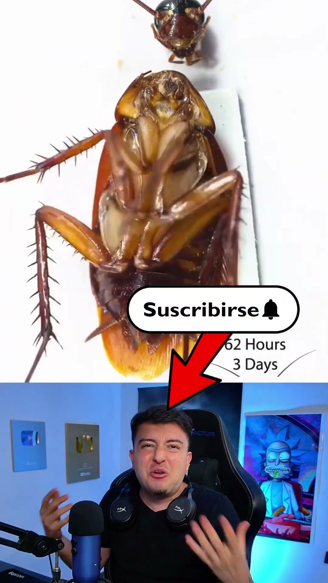Cucaracha ZOMBIE #shorts