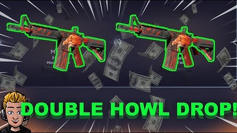 DOUBLE M4A4 HOWL DROP! CRAZY WIN !?