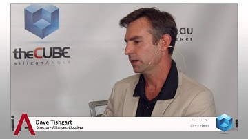 Dave Tishgart - Tableau Conference 2014 - theCUBE