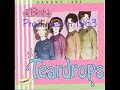 The Teardrops - Tears Come Tumbling (1965)
