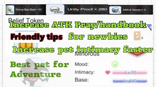 Ragnarok M: How to Increase Attack | Increase pet intimacy faster | Get Zeny and Blueprint screenshot 3