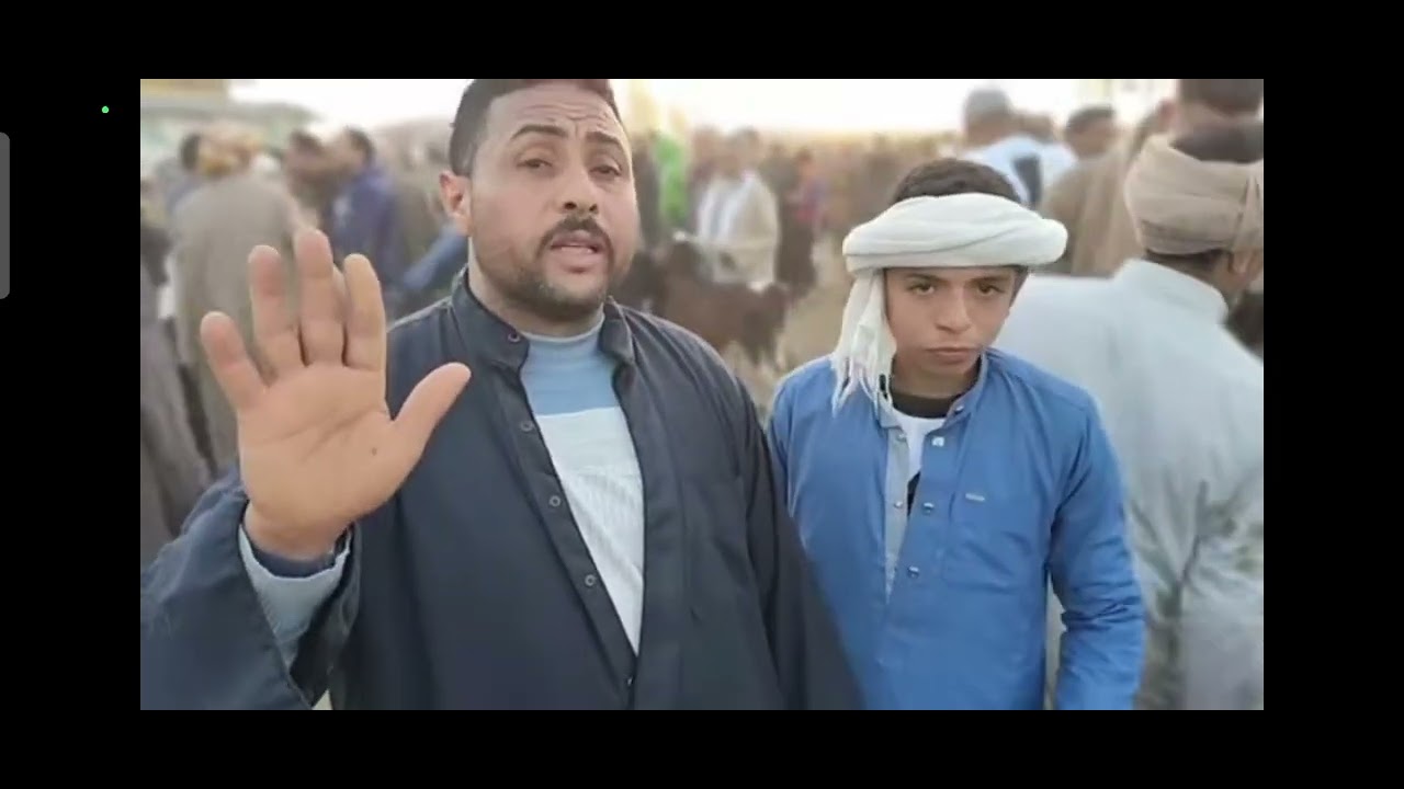 اسعار العجول البقري الآنية من اعمار 3 شهور اللباني من داخل سوق دمنهور مواشي رمضان كريم فضلا الاشتراك