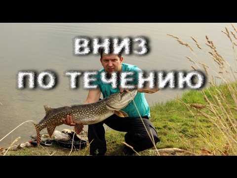 Щука на течение