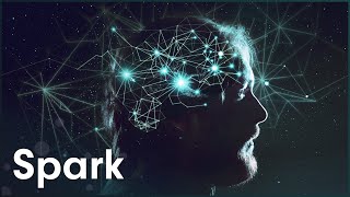 How Much Can The Human Brain Learn | The Brain Fitness Program | Spark