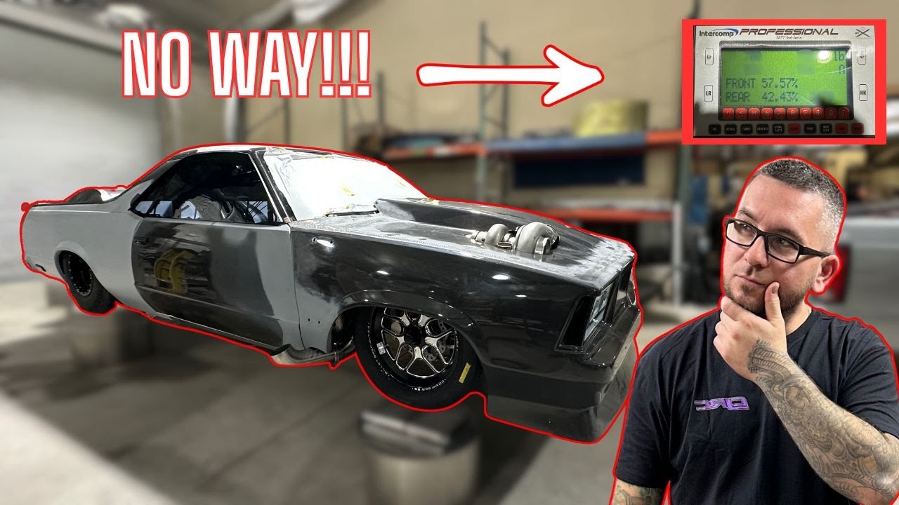 Mullet is "DONE". We weighed Mullet and the Results are INSANE!