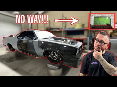 Mullet is "DONE". We weighed Mullet and the Results are INSANE!