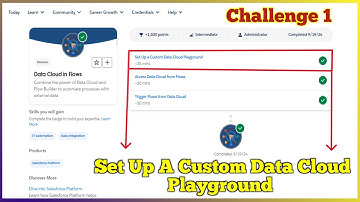 Set Up a Custom Data Cloud Playground | Data Cloud in Flows | Challenge 1