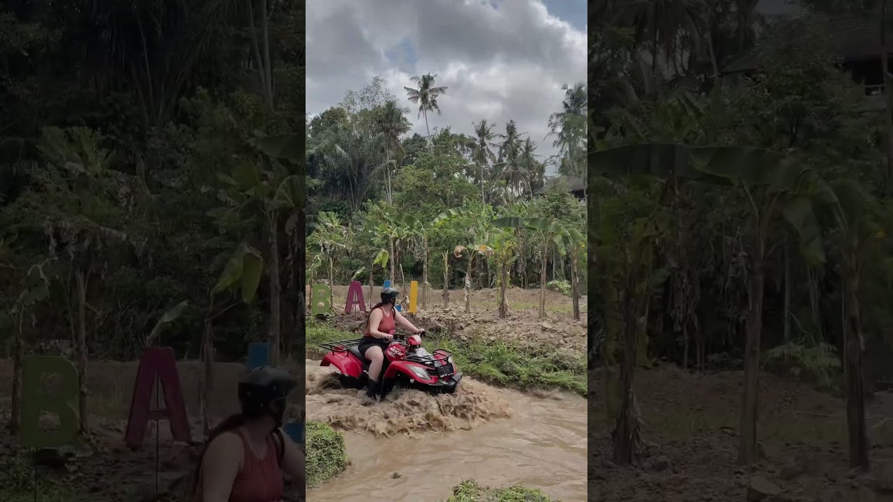 BALI TARANTULA ATV #1 