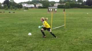 Oshawa Kicks Goalkeeper Training