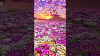 :🌸 Jardim Secreto: Música Instrumental Relaxante com Sons da Natureza | #flowers #relaxamento