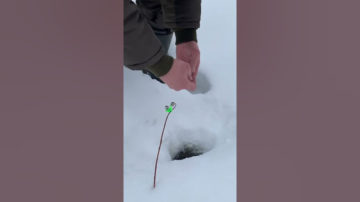 Хариус на донку.