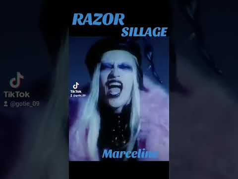 Razorofficial4725 2025年8月6日発売RAZOR 15th SINGLE SILLAGE ヴィジュアル系 ヴィジュアル系バンド Vkei