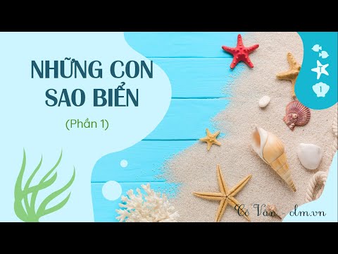 Video Bài 15: Những con sao biển - Phần 1 - Tiếng Việt lớp 2... - youtube