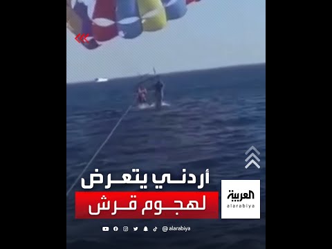 أردني يتعرض لهجوم سمكة قرش في العقبة أثناء ممارسته لهواية القفز بالمظلة