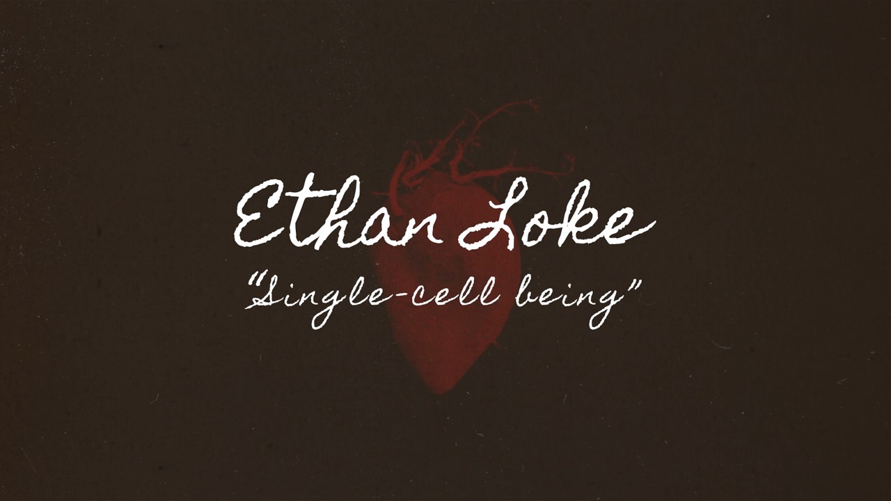 Watch Ethan Loke - Single-Cell Being (Official Lyric Video) on YouTube Watch Ethan Loke - Single-Cell Being (Official Lyric Video) on YouTube