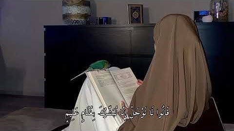 سورة الحجر بصوت سهيله ايمن (نبئ عبادي اني انا الغفور الرحيم)