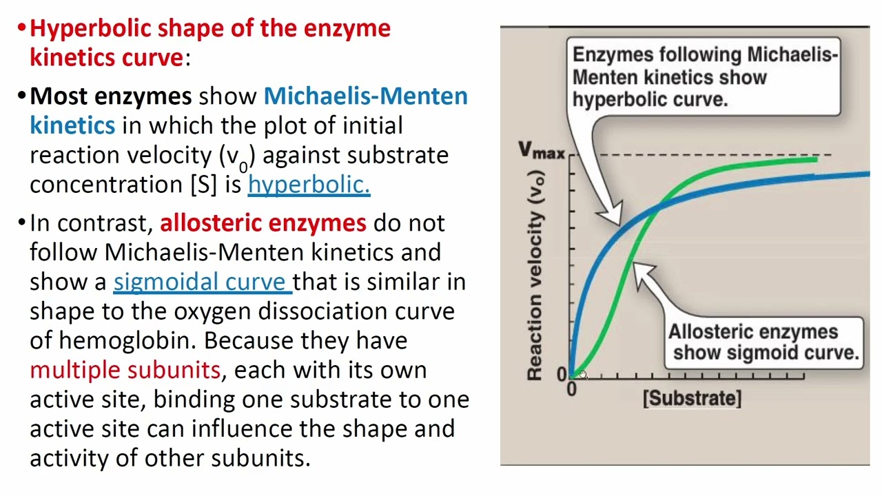 Biochemistry-ENZYME KINETICS -المرحلة الثالثة-صيدلة-كورس اول-الجزء الأول