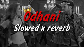 Odhani | Slowed X Reverb | Made In China | Rajkummar Rao | Mouni Roy | Neha Kakkar | Darshan Raval