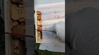 Hack To Give Space At The Bees Pace.