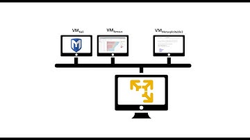 Use of Nessus and Metasploit tools on Metasploitable2 VM [Spanish Version]