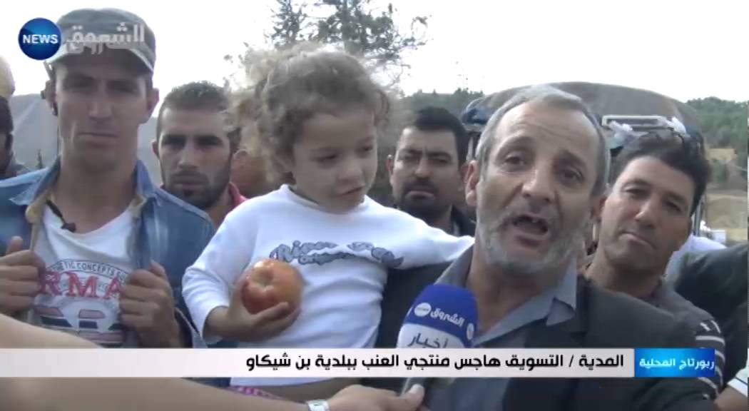 المدية: التسويق هاجس منتجي العنب ببلدية بن شيكاو