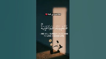 من ما تيسّر من سورةِ النحل بصوت القارئ عبدالرحمن مسعد 🌸 #quran #قرآن #story
