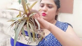 Daily Outdoor Deep Cleaning Vlog घर क कम करन म कय गलत ह