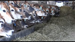 County's Only Dairy Farm Products Available at Ingles