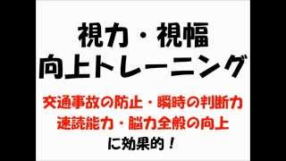 02  交通事故の防止・瞬時の判断力・速読能力・脳力全般の向上に効果的！視力・視幅向上トレーニング