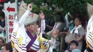 20120826 高円寺阿波踊り4